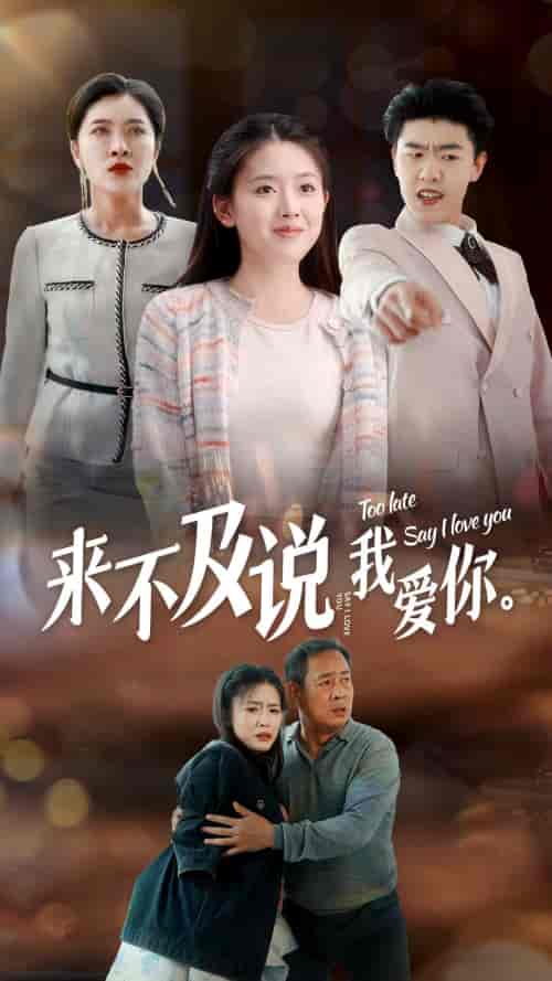 来不及说我爱你（66集） - 海之城短剧