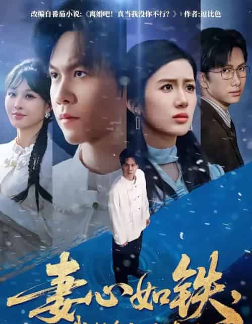 妻心如铁，我转身离婚修仙（81集全）陈景霖＆陈丹-海之城短剧项目