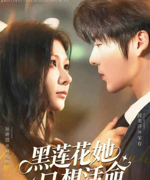 黑莲花她只想活命（60集）段美洋＆孙妍恩-海之城短剧项目