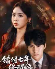 错付七年终醒悟（62集全）段少卿＆徐徐-海之城短剧项目