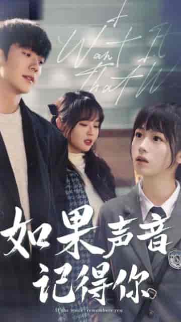 如果声音记得你（长篇） - 海之城短剧
