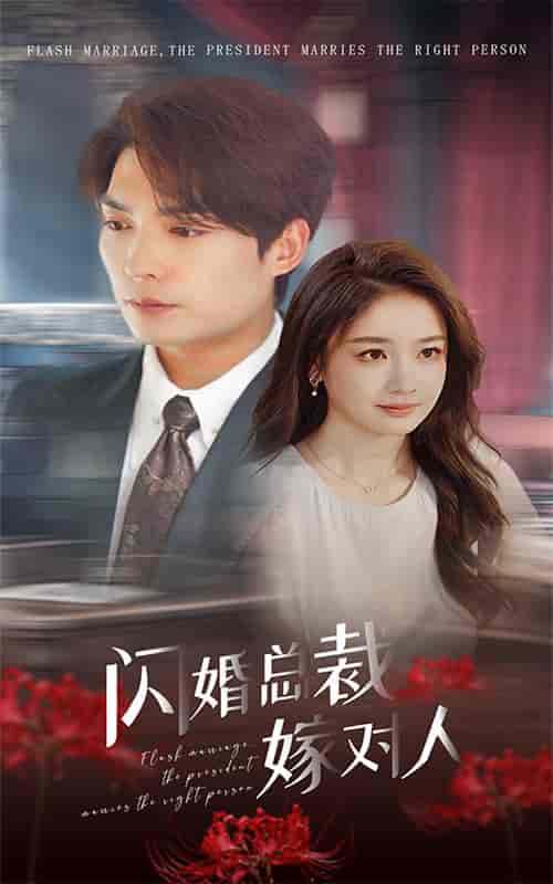 闪婚总裁嫁对人 闪婚总裁嫁对人