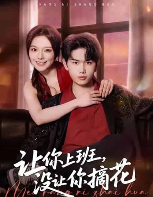 让你上班，没让你摘花（70集全）王凯波＆王若妍＆陈有晴-海之城短剧项目