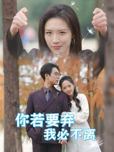 你若要弃我必不离＆绝望主妇怒点天灯（30集全） - 海之城短剧
