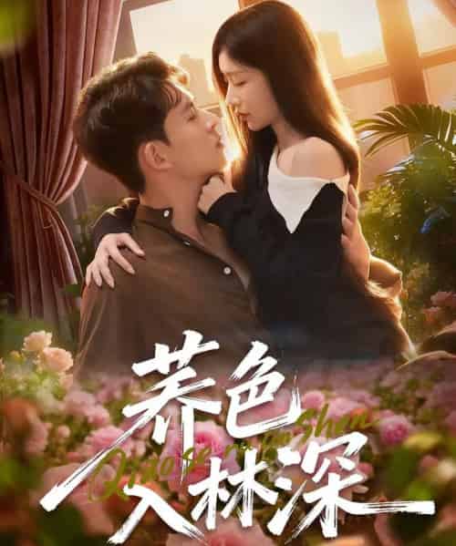 荞色入林深（70集全）罗曼嘉＆胡宏林-海之城短剧项目