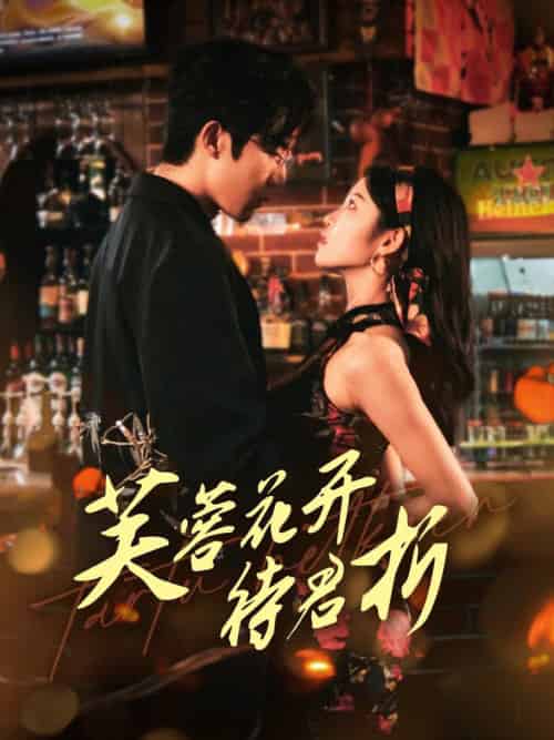 芙蓉花开待君折（75集全）张北淅＆刘盈 - 海之城短剧