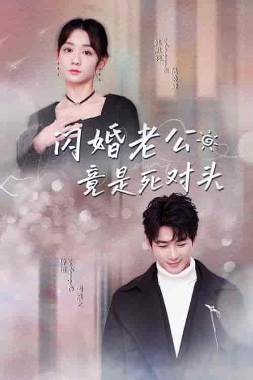 闪婚老公竟是死对头（长篇）韩忠羽 - 海之城短剧