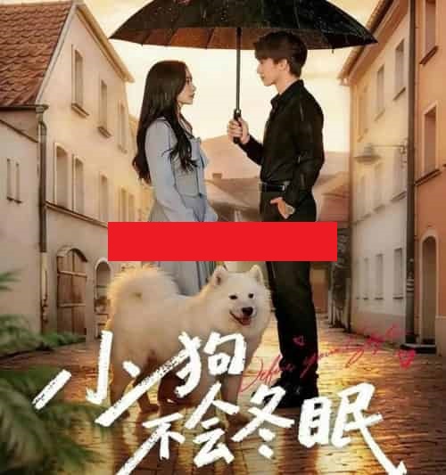 小狗不会冬眠（70集全）张皓文＆乔槿-海之城短剧项目