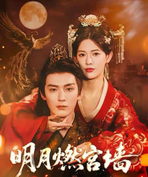 明月燃宫墙（60集全）常喆宽＆姜钰佳-海之城短剧项目