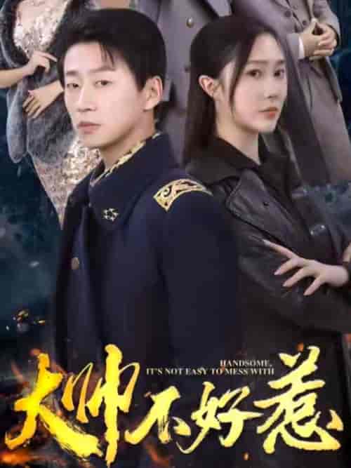 大帅不好惹 大帅不好惹
