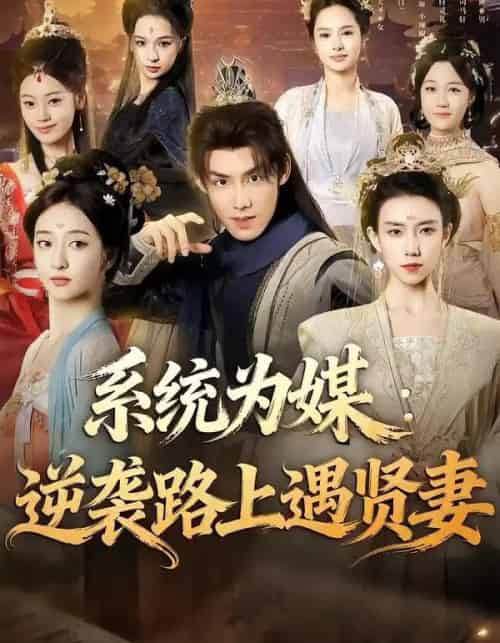 系统为媒：逆袭路上遇贤妻（71集全）林永炬＆修雨秀-海之城短剧项目