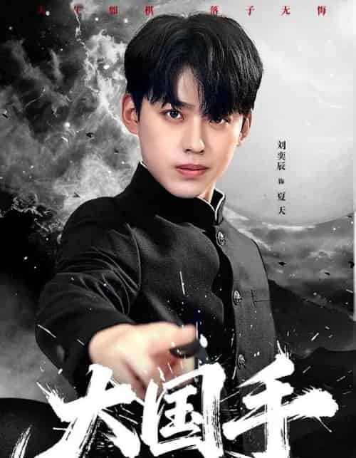 大国手（76集全）刘奕辰＆刘君尧-海之城短剧项目
