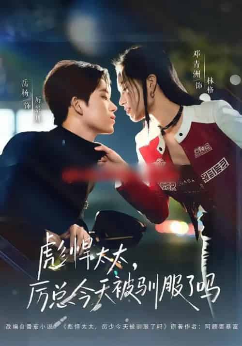 彪悍太太，厉总今天被驯服了吗（88集全）岳杨＆邓青洲-海之城短剧项目