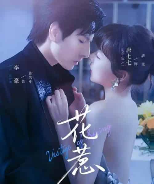 花惹（70集全）李豪＆唐七七-海之城短剧项目