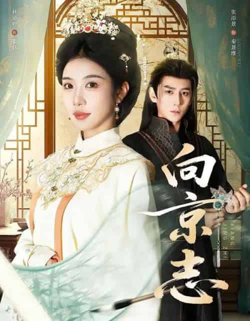 向京志（80集全）张添景＆林琦婷-海之城短剧项目