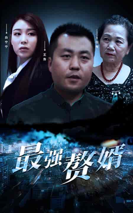 最强赘婿（80集） - 海之城短剧