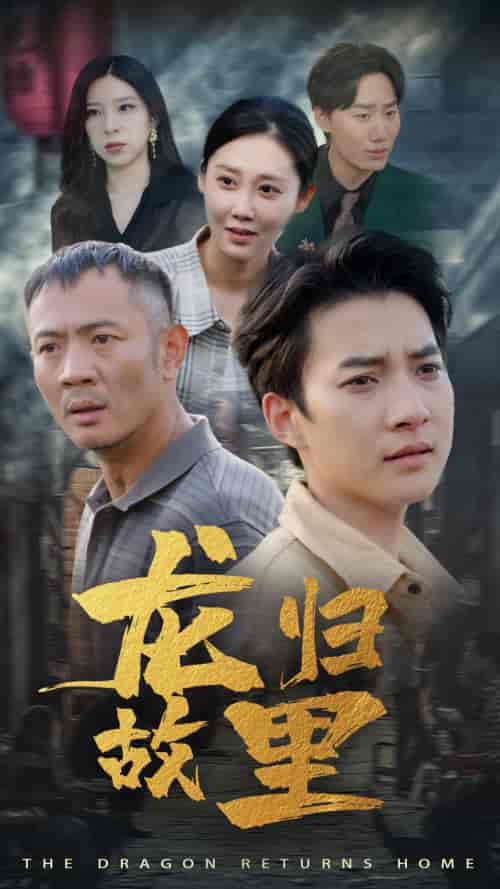 龙归故里（69集） - 海之城短剧