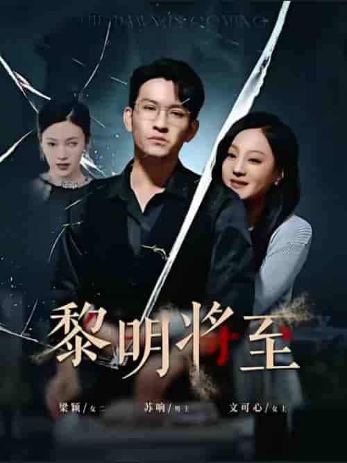 黎明将至（61集全）王已歌 - 海之城短剧