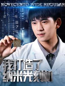 我打造了纳米光刻机 我打造了纳米光刻机