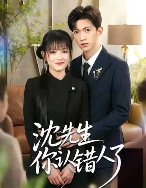 沈先生你认错人了（51集全）孙敬东＆周艺凝-海之城短剧项目