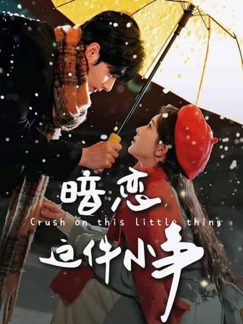 暗恋这件小事（100集全）孟佳辉＆诗越越 - 海之城短剧