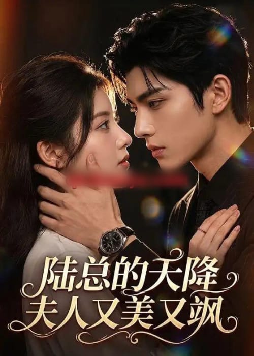 陆总的天降夫人又美又飒（80集全）AI短剧-海之城短剧项目