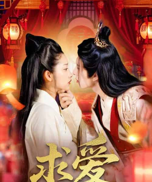 求爱（92集）景文＆崔馨心 - 海之城短剧