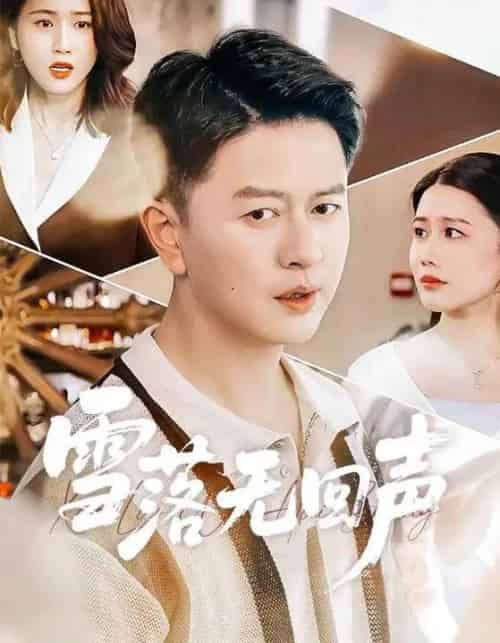 雪落无回声（60集全）雷鹏宇＆周颖-海之城短剧项目