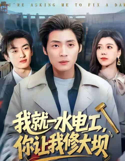 我就一水电工，你让我修大坝（65集全）徐浩＆陈汶汐-海之城短剧项目