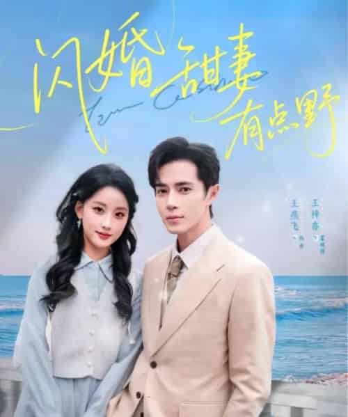 闪婚甜妻有点野（89集全）王梓亦＆王燕飞-海之城短剧项目