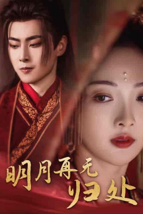 明月再无归处（39集全）展轩＆丁果 - 海之城短剧