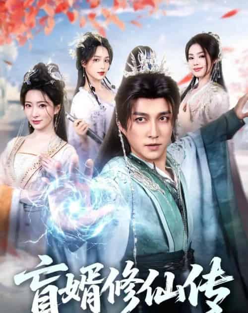 盲婿修仙传（65集全）陈楚洹＆廖芯-海之城短剧项目