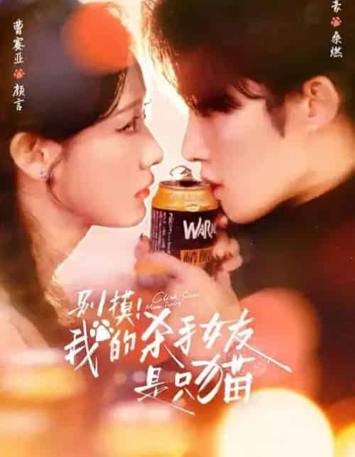 别摸！我的杀手女友是只猫（60集全）陈名豪＆曹赛亚＆潘文驰-海之城短剧项目