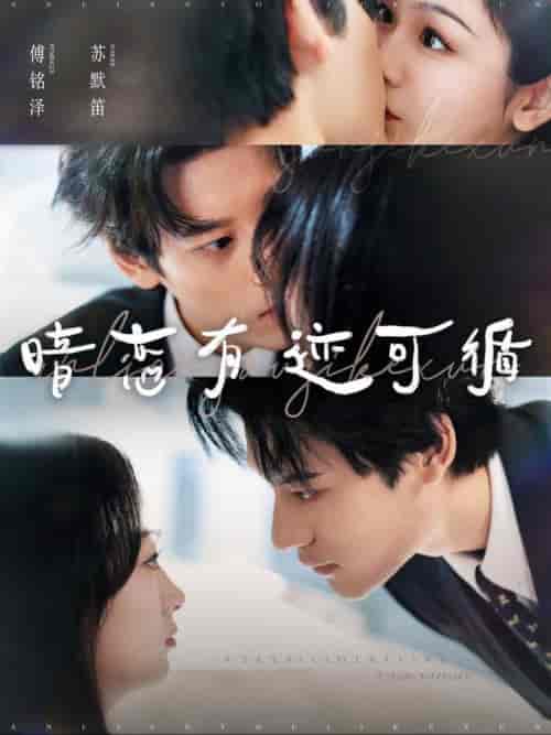暗恋有迹可循（101集全）秦伟制＆田苗苗 - 海之城短剧