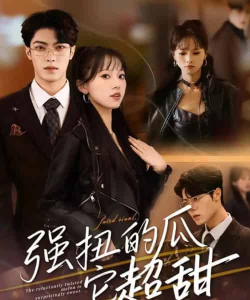 强扭的瓜它超甜（70集全）付琳琅＆贾馨雨-海之城短剧项目