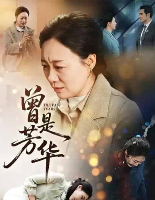 曾是芳华（60集全）庄园＆驰恩尘-海之城短剧项目