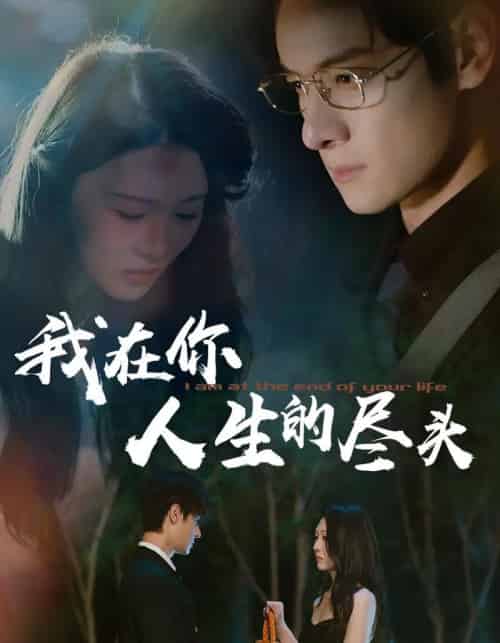 我在你人生的尽头 我在你人生的尽头