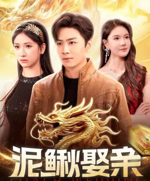 泥鳅娶亲 （110集全） 王硕＆张予湉-海之城短剧项目