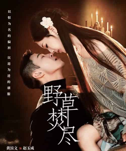 野草焚尽（74集全）黄渲文＆戚羽佳-海之城短剧项目