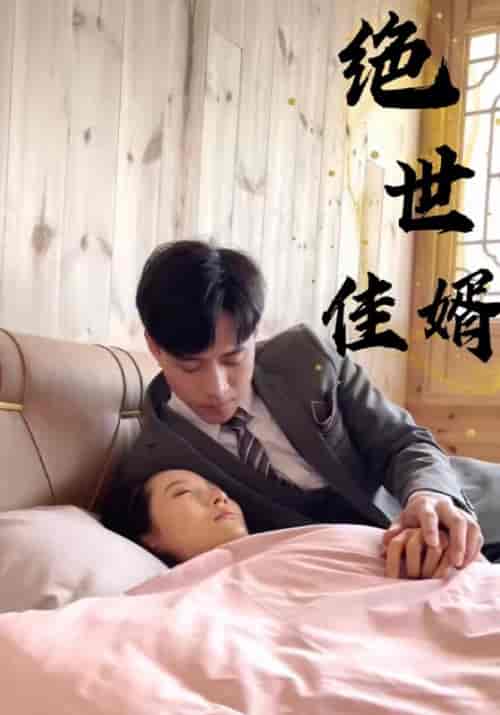 绝世佳婿（100集全）叶祖城＆王家蕊 - 海之城短剧