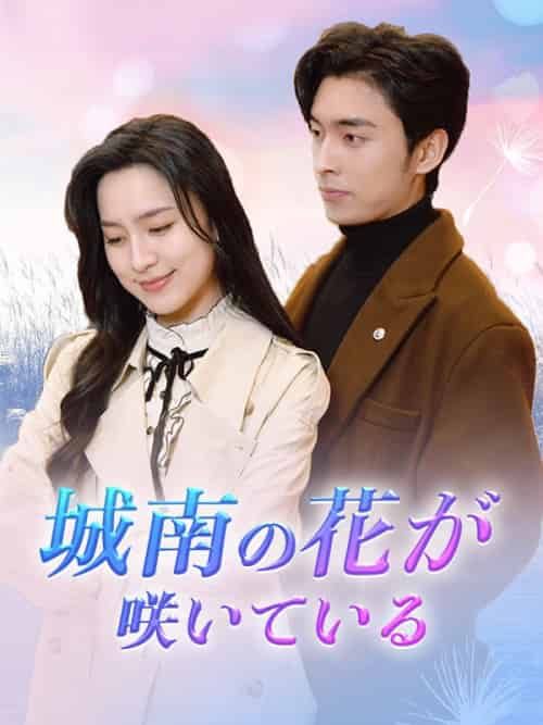 城南の花が咲いている（92集全）傅林深＆程心 - 海之城海外短剧
