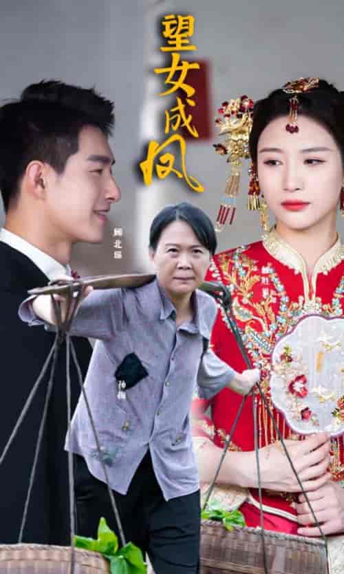望女成凤（74集） - 海之城短剧