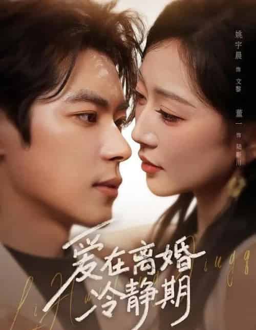 爱在离婚冷静期（73集全）董一＆姚宇晨-海之城短剧项目