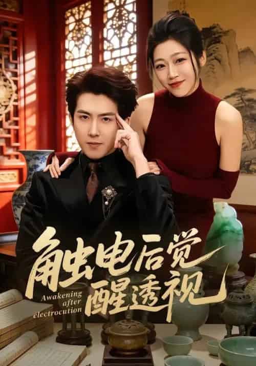触电后觉醒透视（81集全）赵阿东＆散文诗-海之城短剧项目