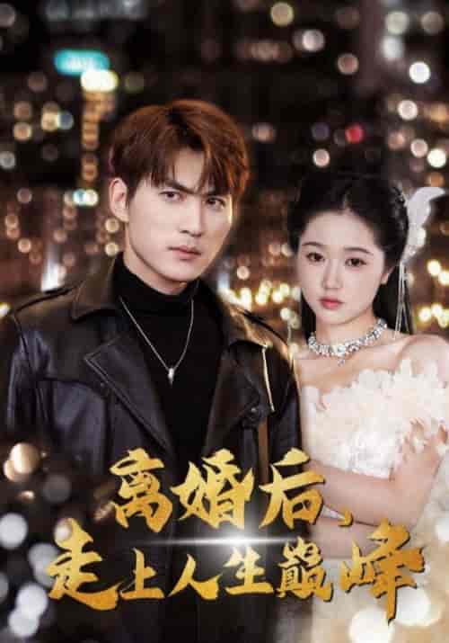离婚后，走上人生巅峰（100集全）宁凡＆夏婉柔 - 海之城短剧