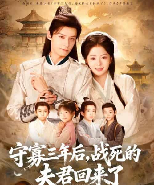 守寡三年后，战死的夫君回来了（80集全）金璐莹＆邹嘉赓-海之城短剧项目