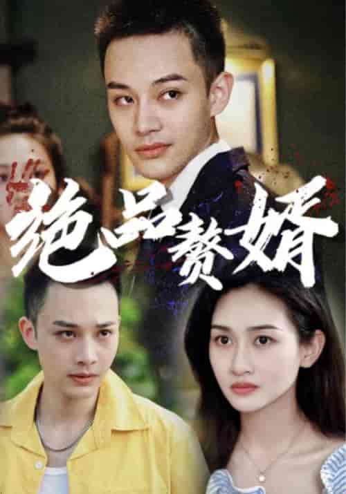 绝品赘婿（80集全）慕子期＆凌妙妙 - 海之城短剧