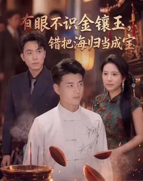 有眼不识金镶玉错把海归当成宝（80集全）李进源＆华越-海之城短剧项目