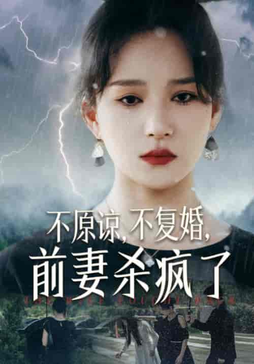 不原谅,不复婚,前妻杀疯了 不原谅,不复婚,前妻杀疯了