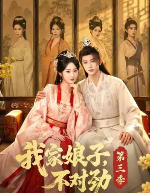 我家娘子，不对劲第三季（99集全）陈外＆鲁芳岐-海之城短剧项目